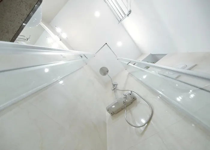 Ivan Spadina 티스노